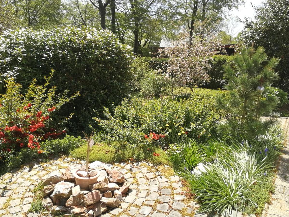 Roder Am Eifelsteig Vakantiehuis Monschau