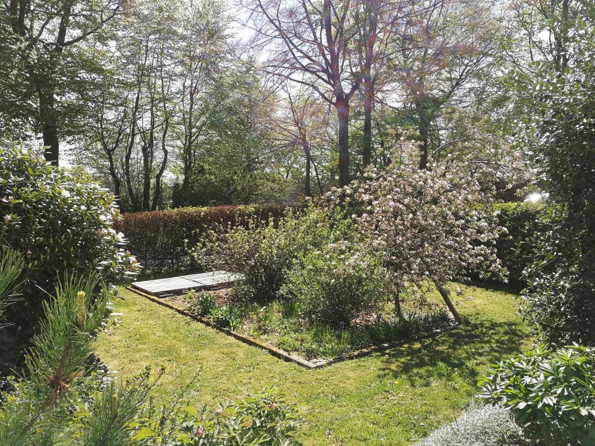 Roder Am Eifelsteig *